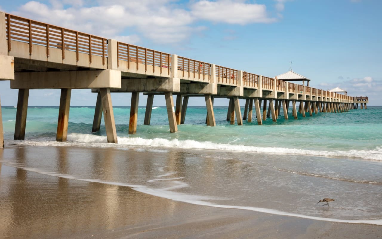 Juno Beach