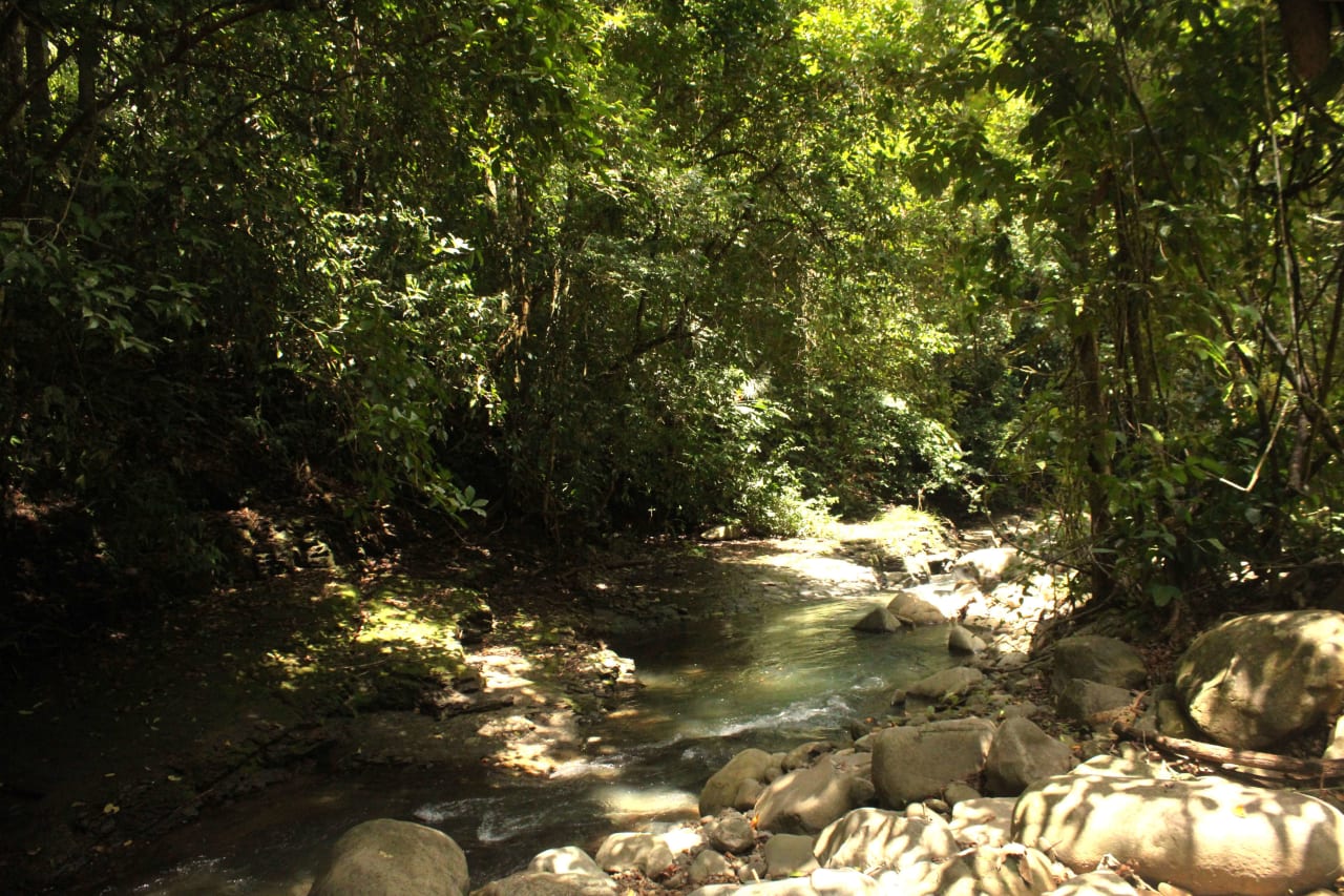 Wildlife Reserve Farm in Chontales.