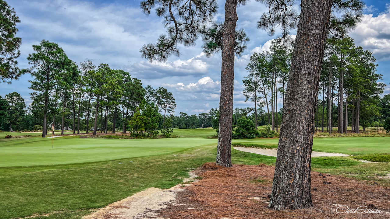 A Place in the Pines Realty LLC. Pinehurst Brokerage