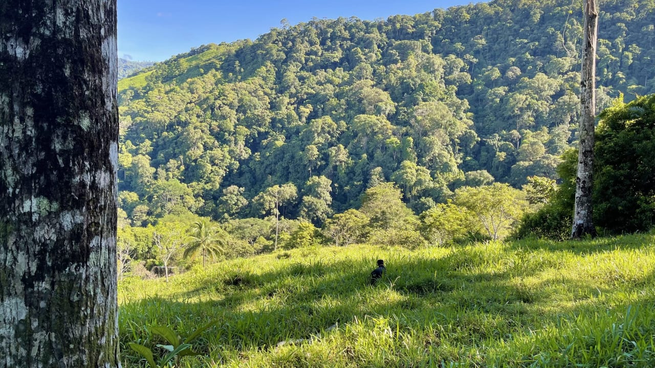 Over 123 Acres Farm in San Josecito De Morete, in Uvita Mountains