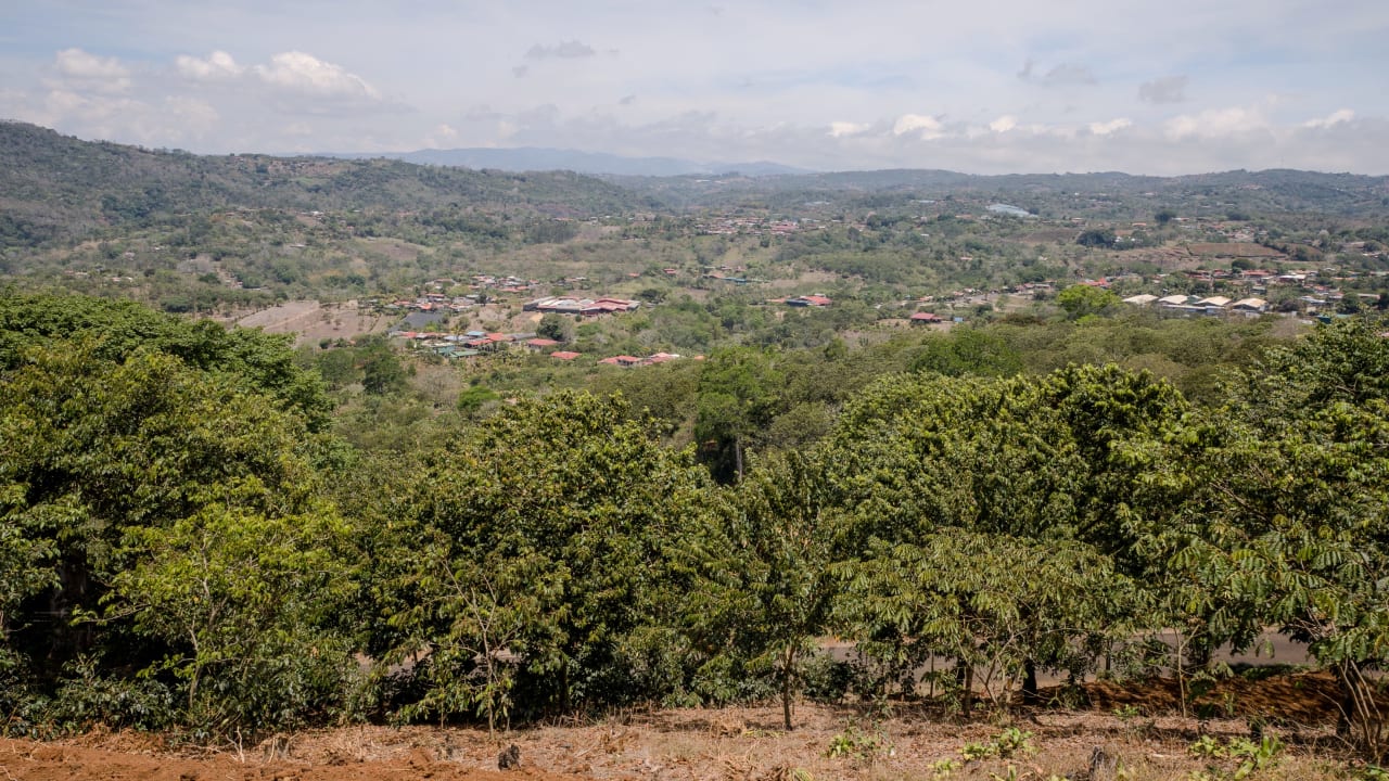 La Ceiba, Lot 7 | Panoramic Views and Refreshing Microclimate.