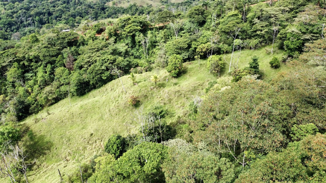 Hidden Gem: Serene Farm Retreat with Majestic Views in Costa Rica