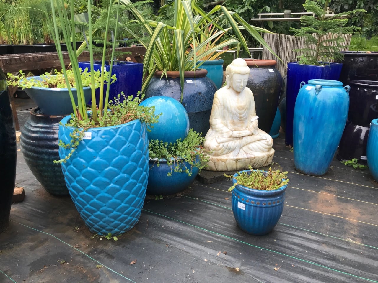 Garden Ponds Nursery For All Your Peaceful Needs