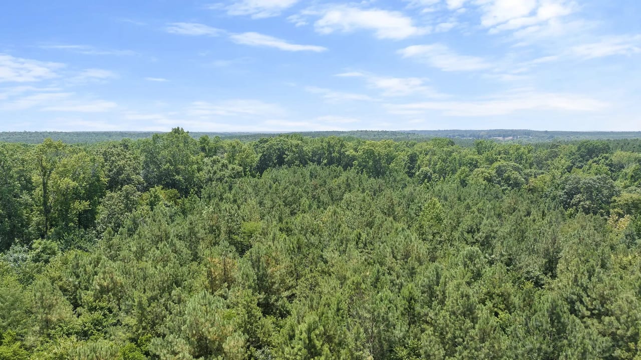 Camp Creek Ranch in Broken Bow, Oklahoma