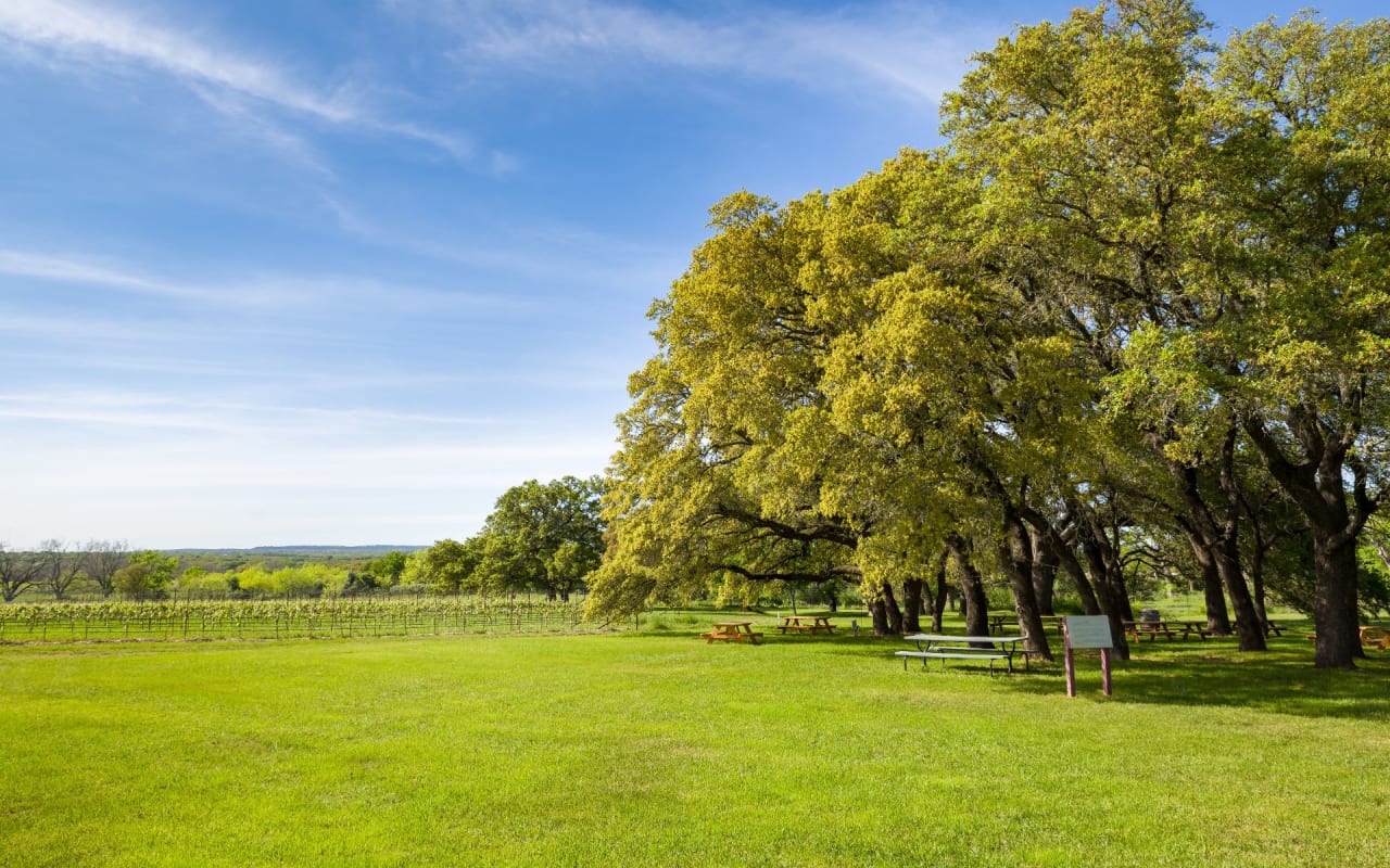 Treff Herber Fredericksburg, Texas Real Estate Agent