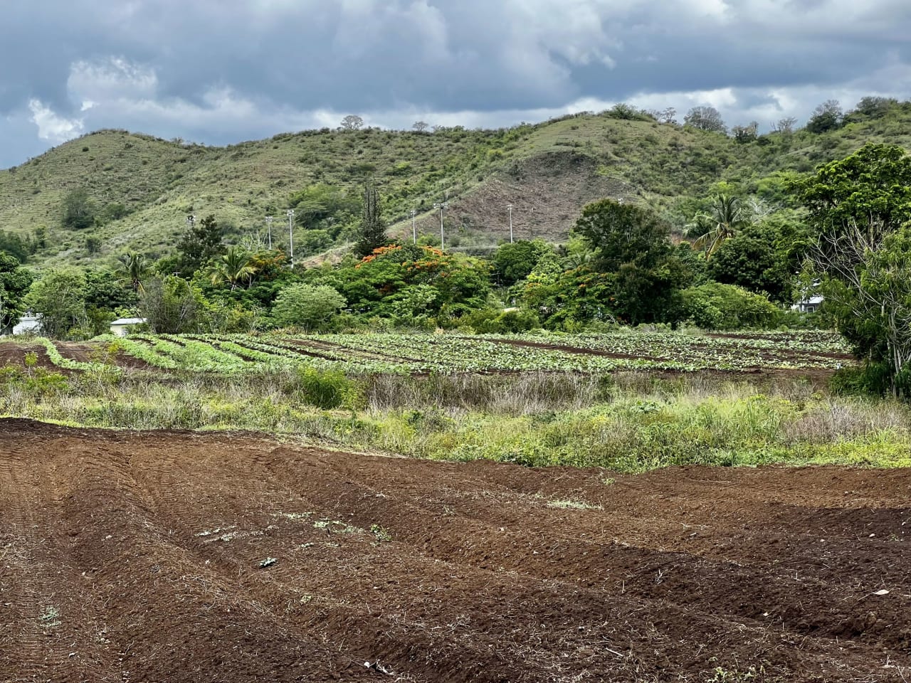 256  Acres  Precioso Coamo