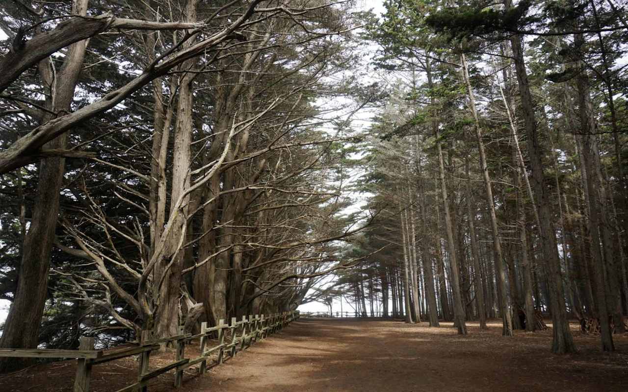 Moss Beach Neighborhood Guide