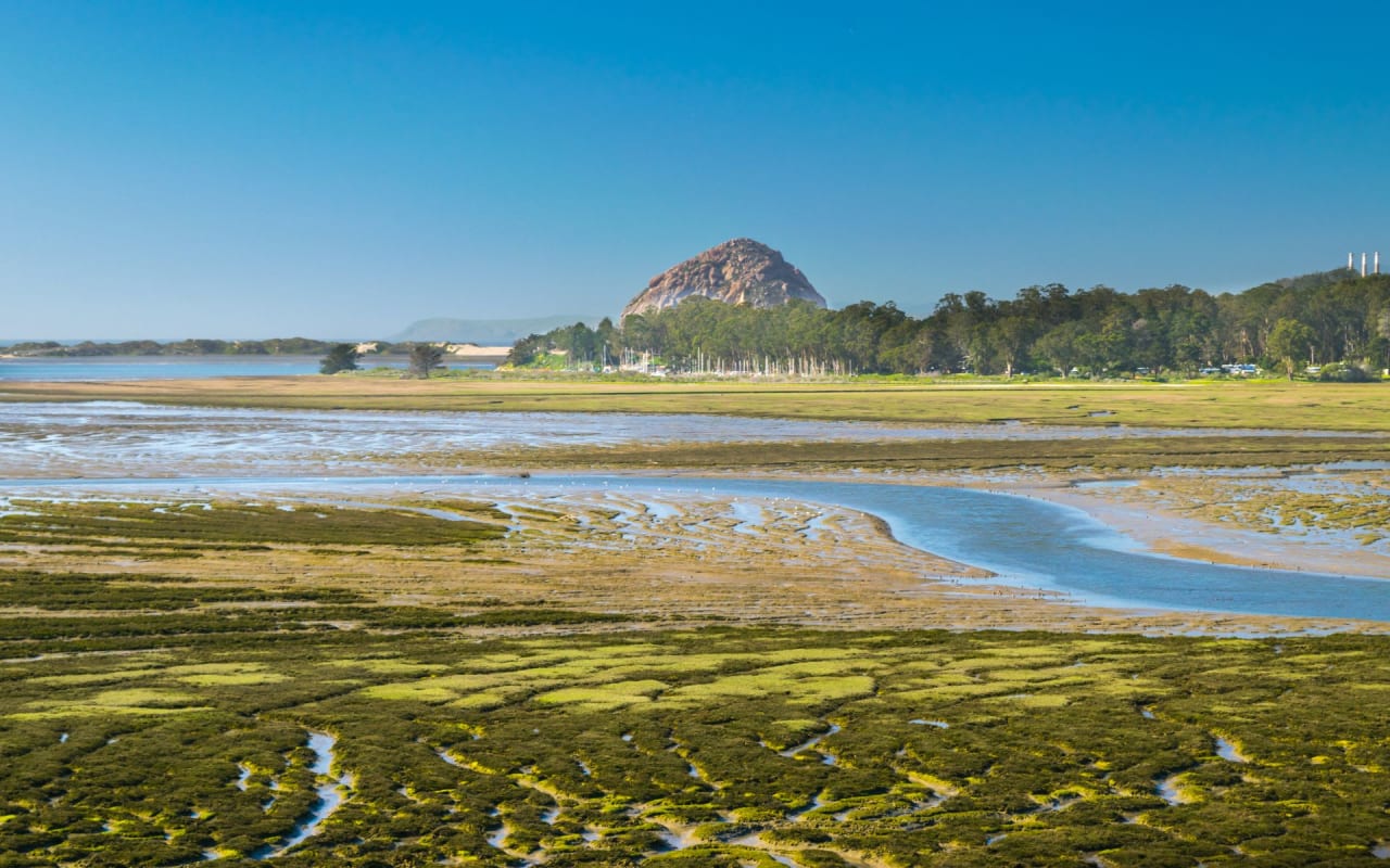 Los Osos / Baywood Park