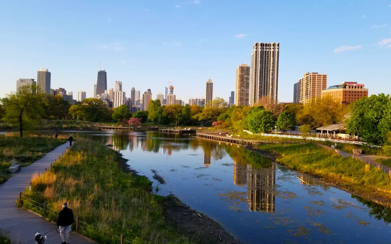 Everything You Need to Know About Moving to Lincoln Park, IL