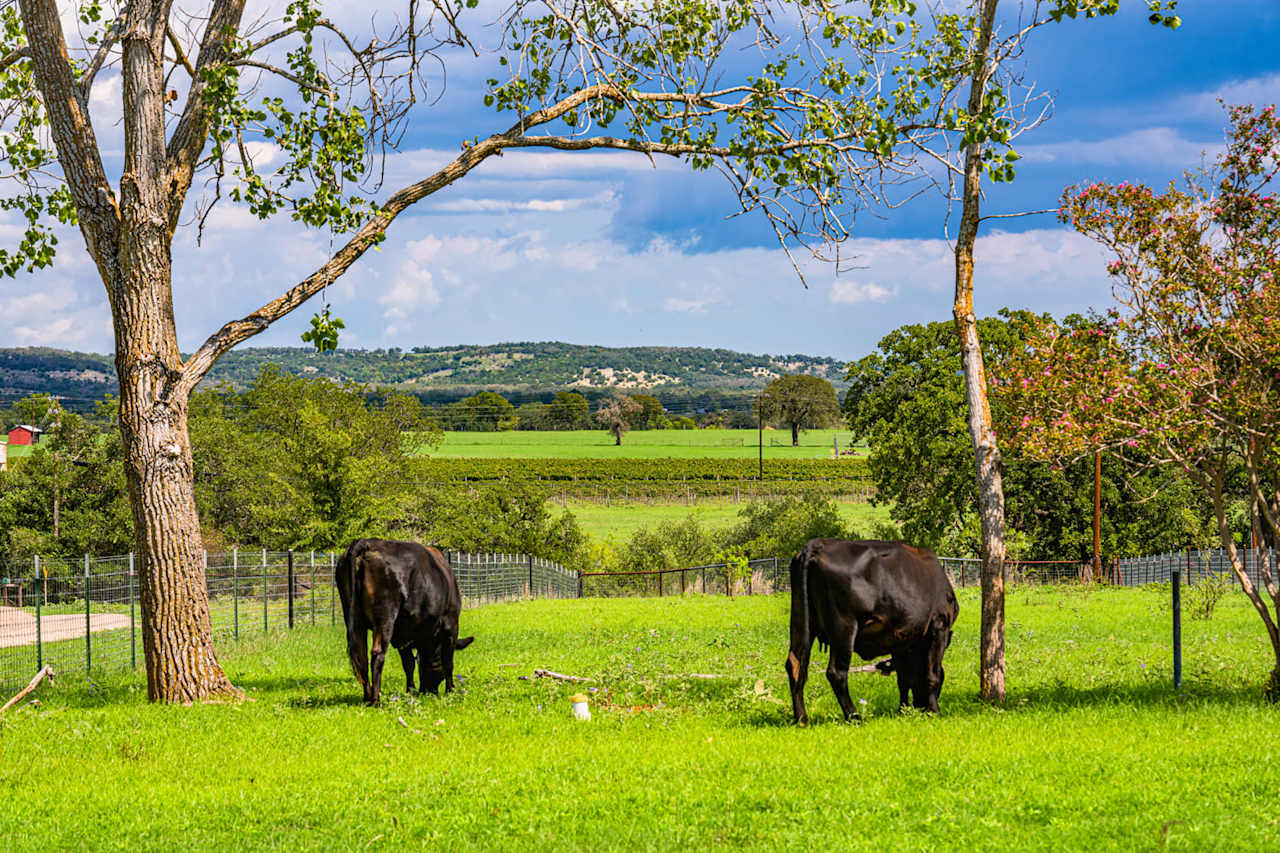 The Meadows at Middle Creek, 88+/ Acres of Prime Hill Country Land
