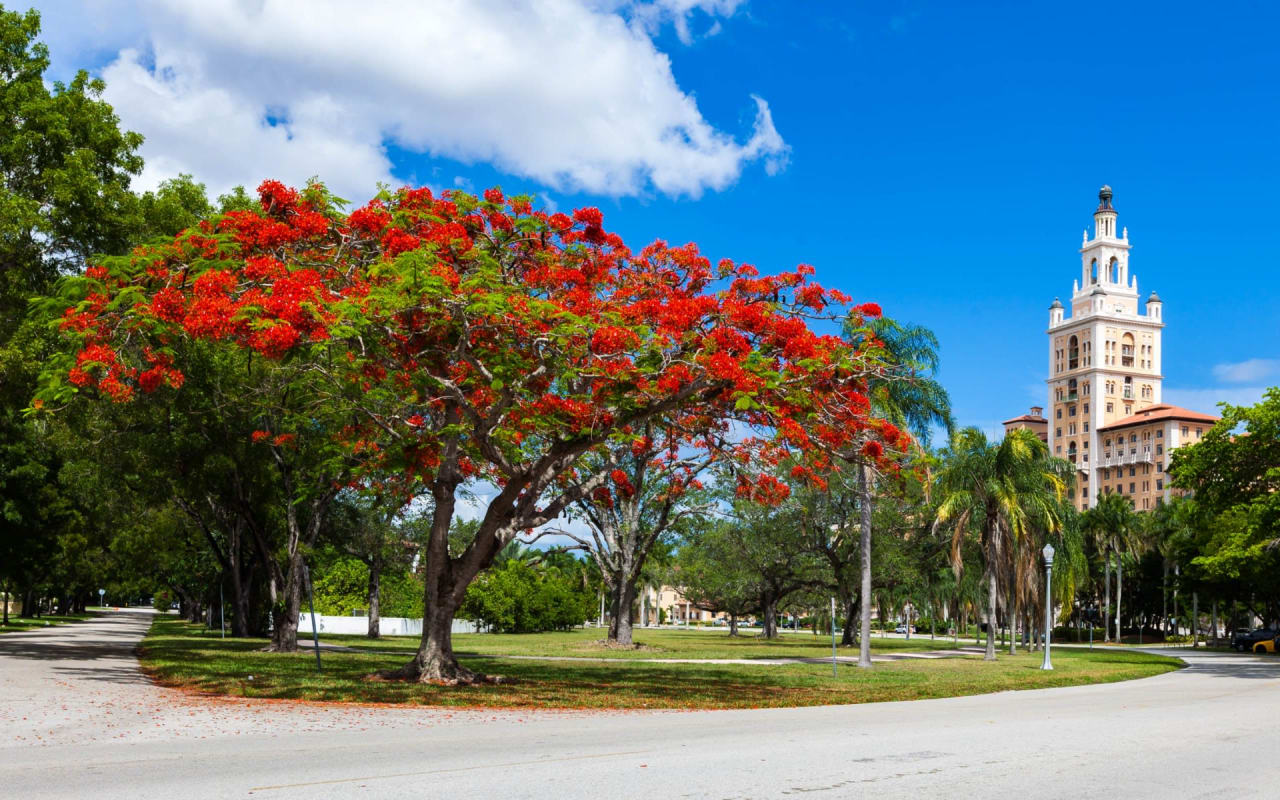 Coral Gables / High Pines