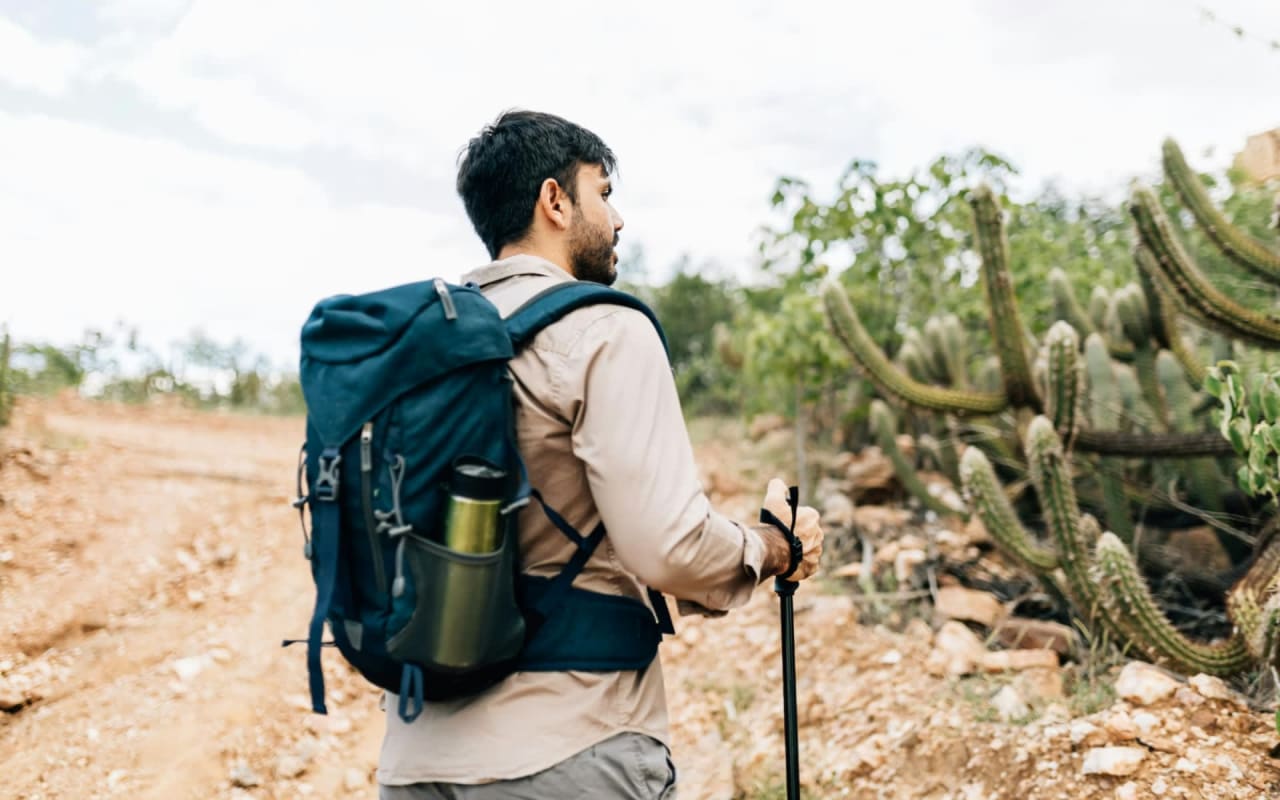 Hiking in Scottsdale, AZ: A Journey Through Desert Splendor