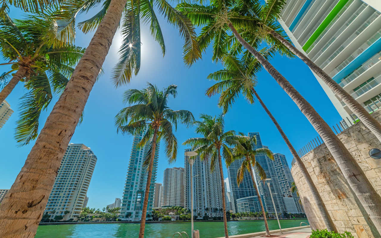 Maria Quevedo Miami Beach Real Estate Expert