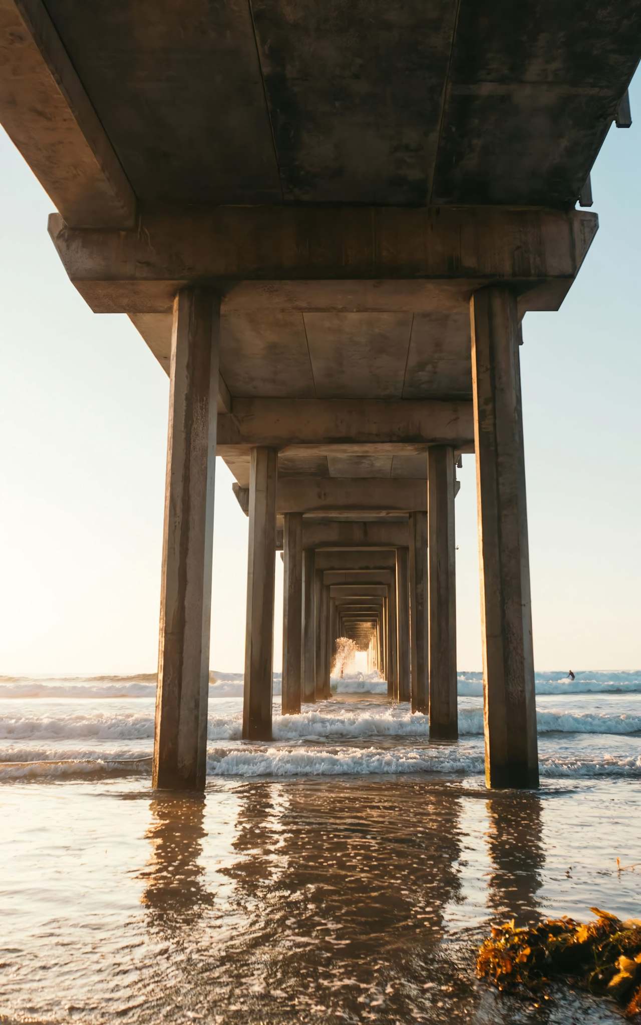 Monroe Herington Real Estate Group Real Estate Agents