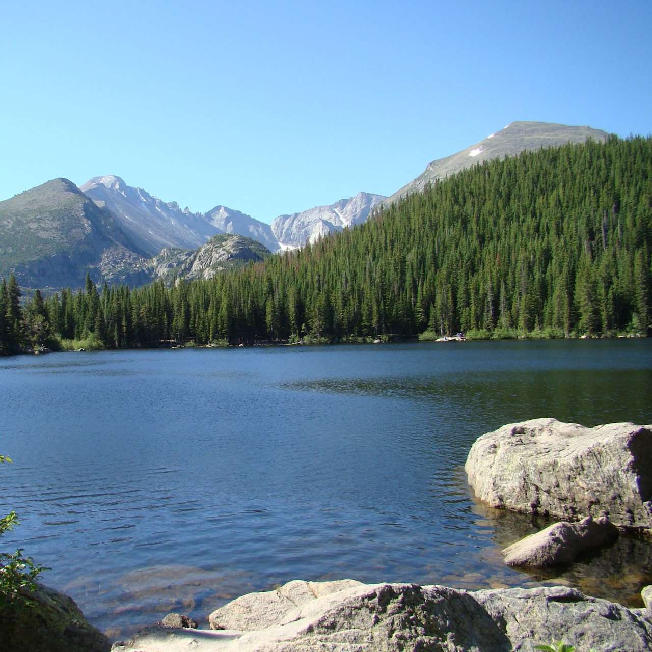 Big Tree Village Neighborhood Guide