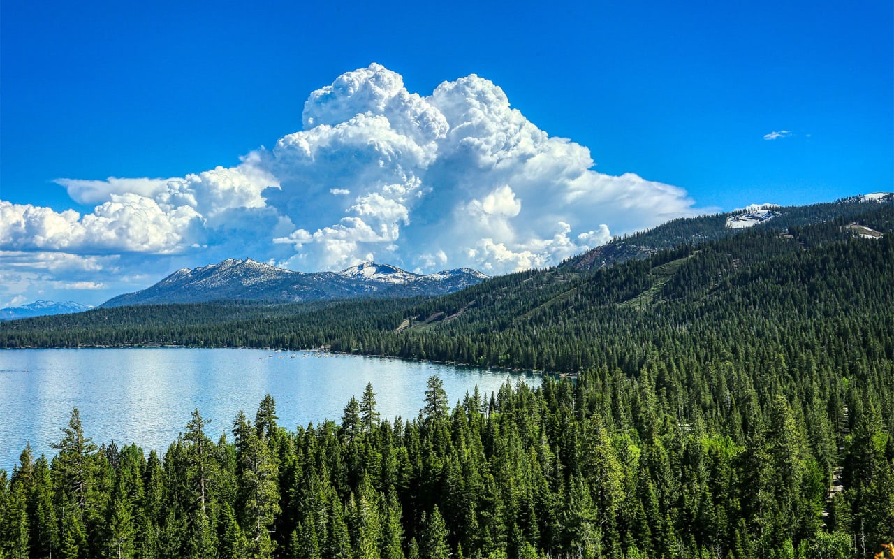 ALPINE MEADOWS