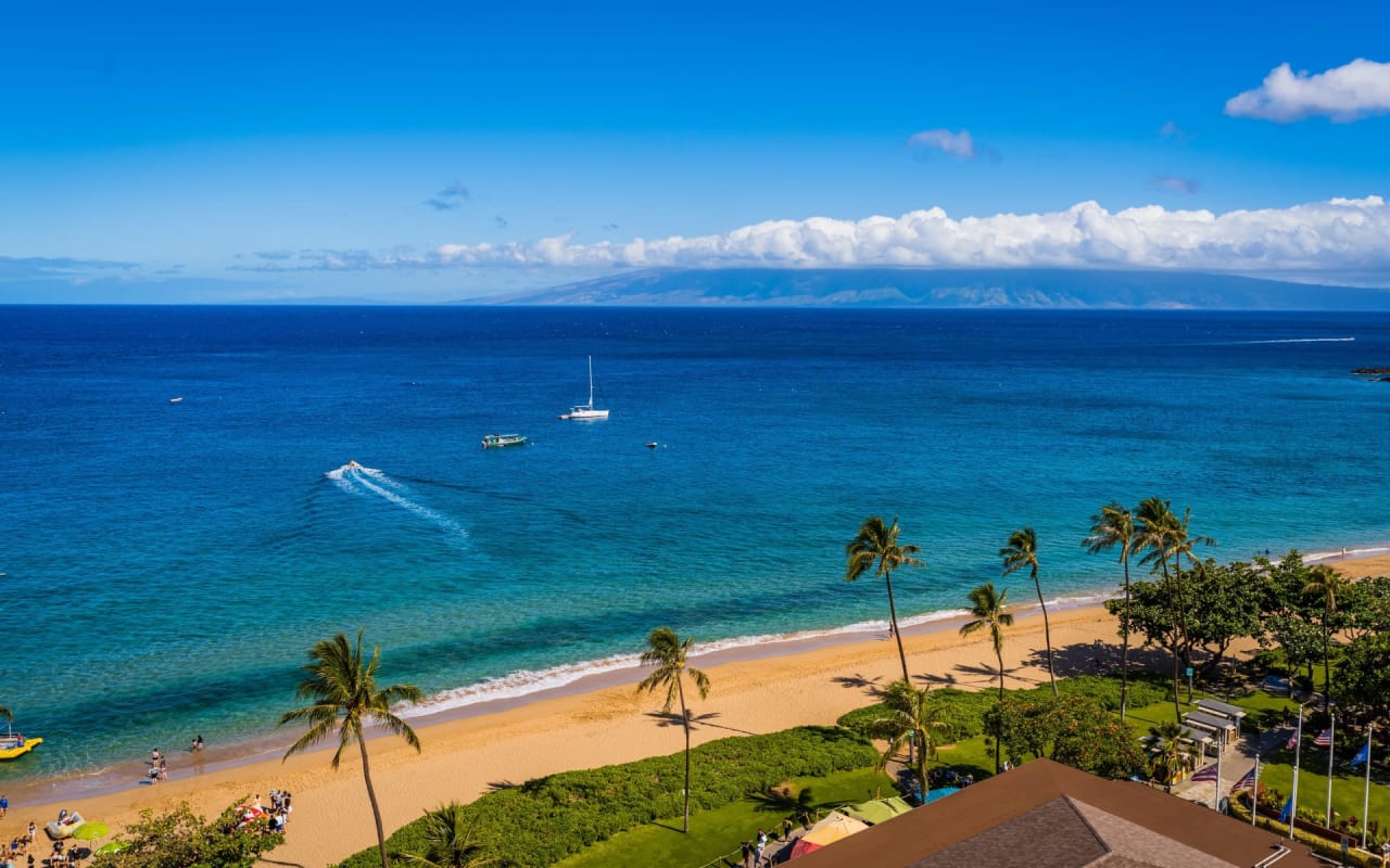 Pro Talk: Maui Real Estate Goes Green!