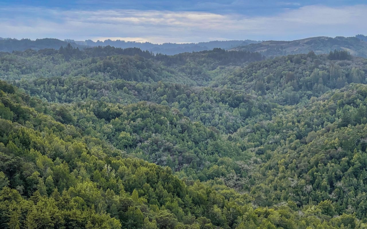 San Anselmo