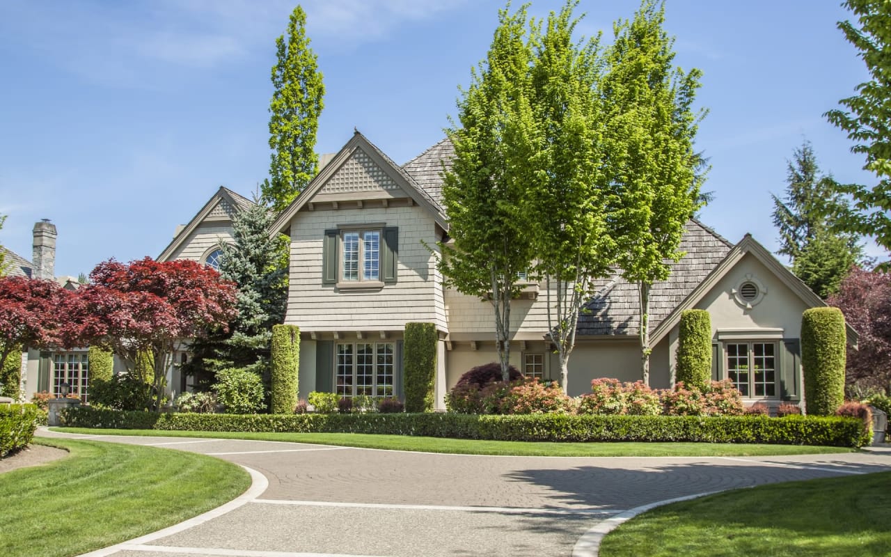 trees and landscaping front yard with tan house and blue sky