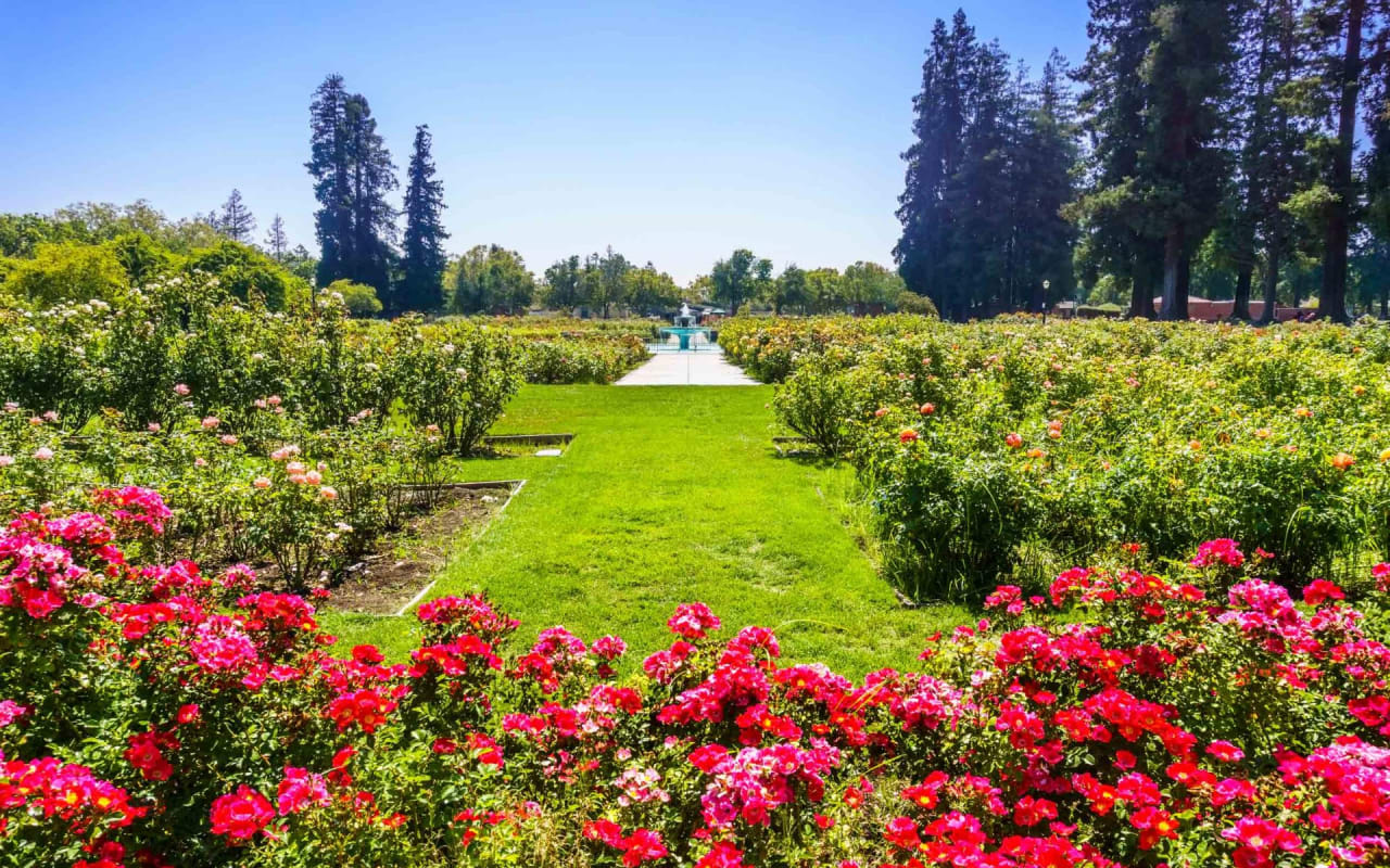 Rose Garden Real Estate, Area Guide