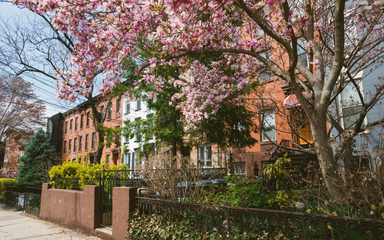 Carroll Gardens