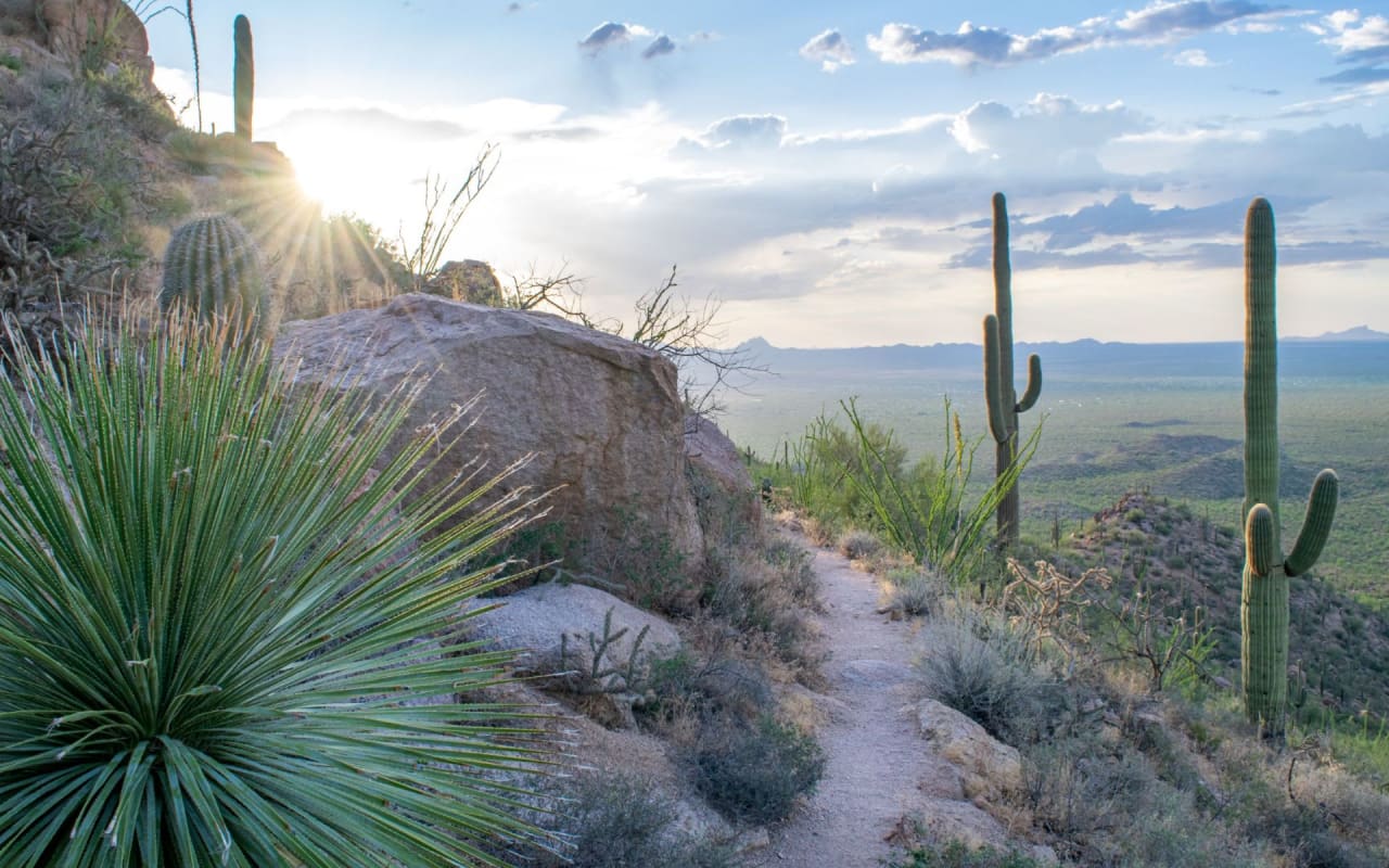 Catalina Foothills