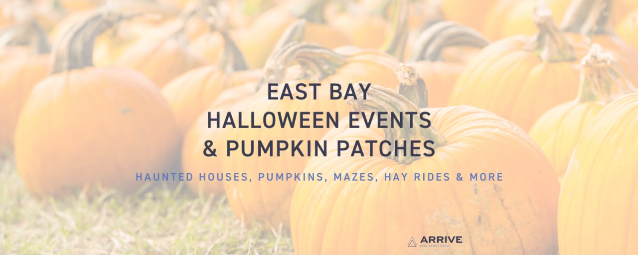 Bay Area Halloween Events and Pumpkin Patches Arrive Real Estate