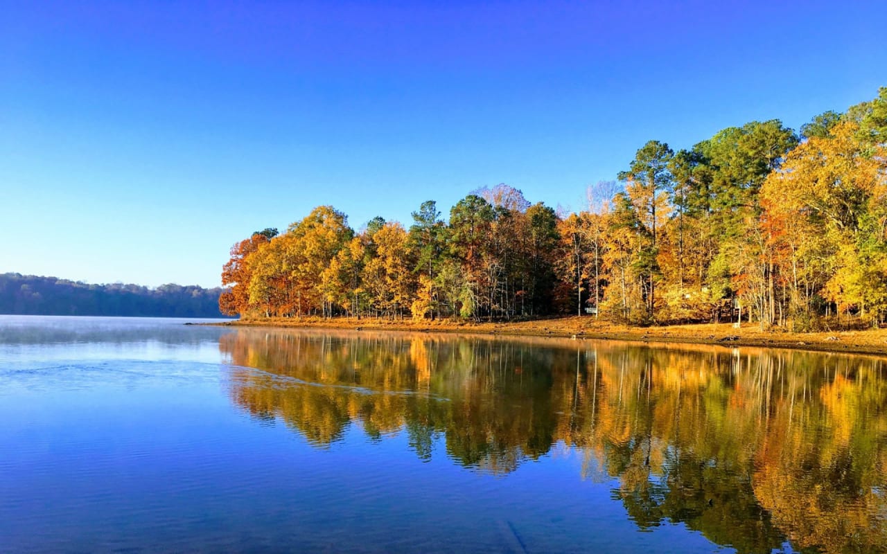 Living in Benson, NC Neighborhood Guide Tracy Dupler