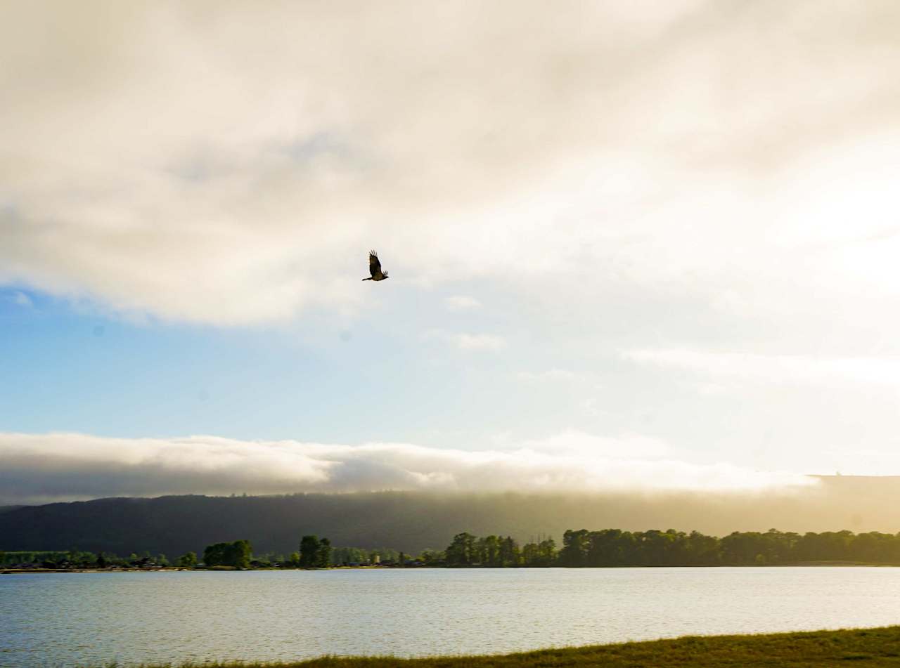 Coyote Point 