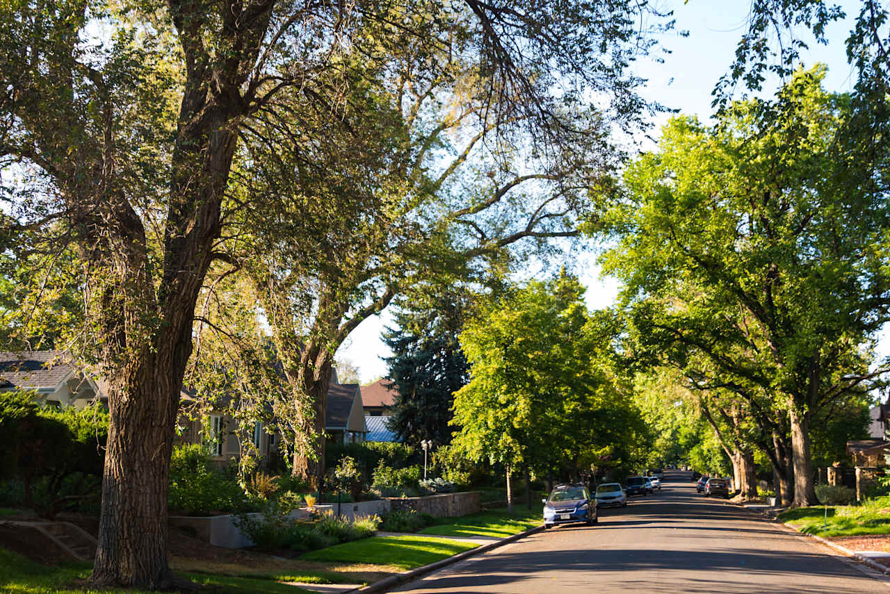 CoryMerrill Neighborhood Guide