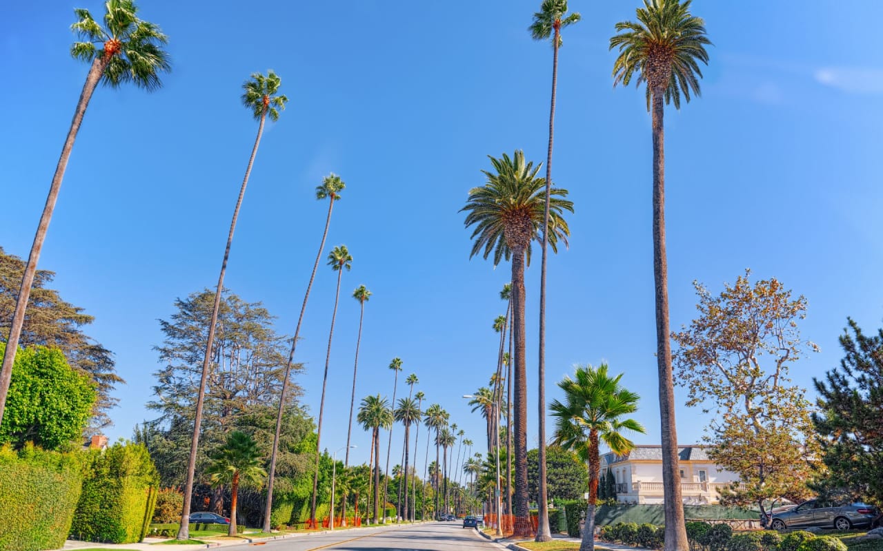 Spot the Celebrities - Review of Rodeo Drive, Beverly Hills, CA