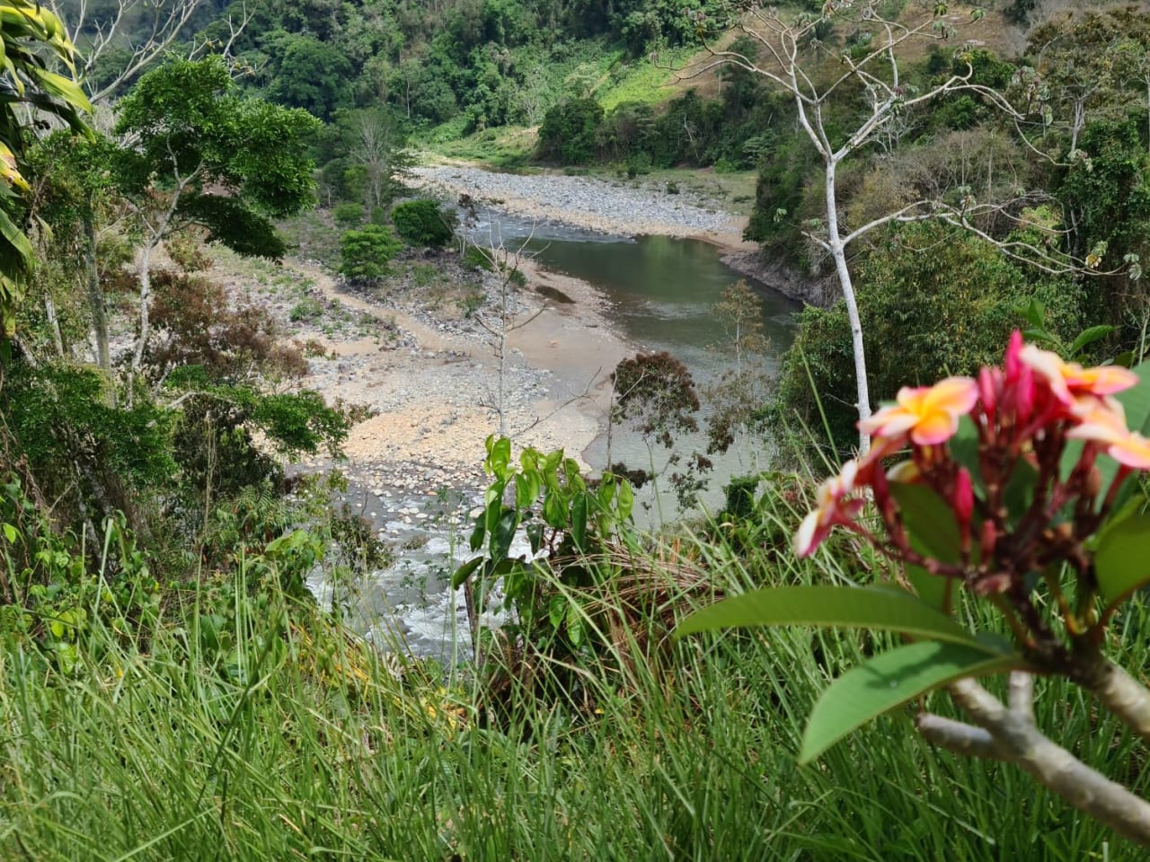 Finca Río General in Santa Luisa