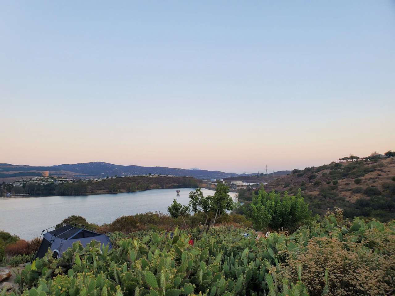 San Diego Real Estate The Savory Group