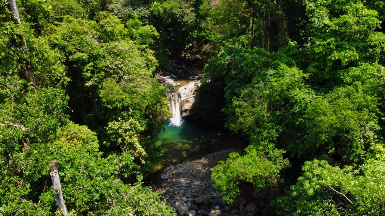 Finca Cerro del Tigre!   Over 20 Acres of Primary Forest and  Waterfalls. 
