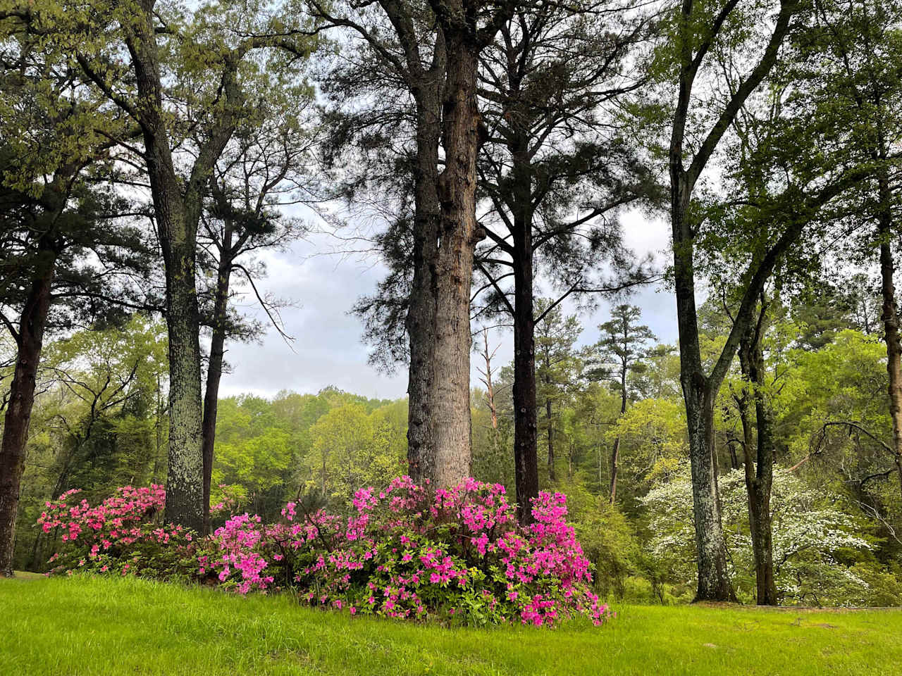 East Texas-Smith County