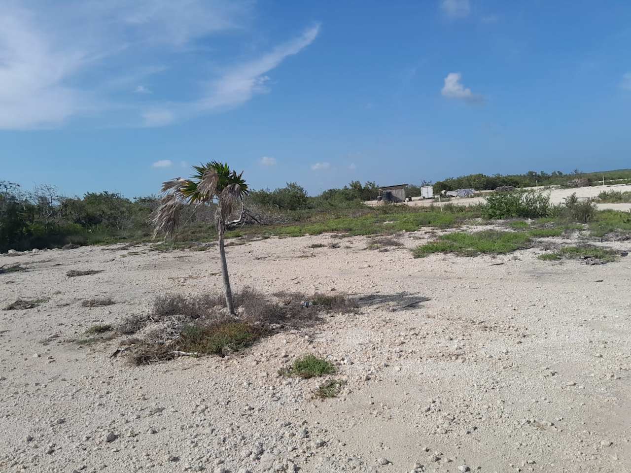 Sunset Haven on Secret Beach - 200 Feet of Pristine Caribbean Waterfront on Ambergris Caye, Belize