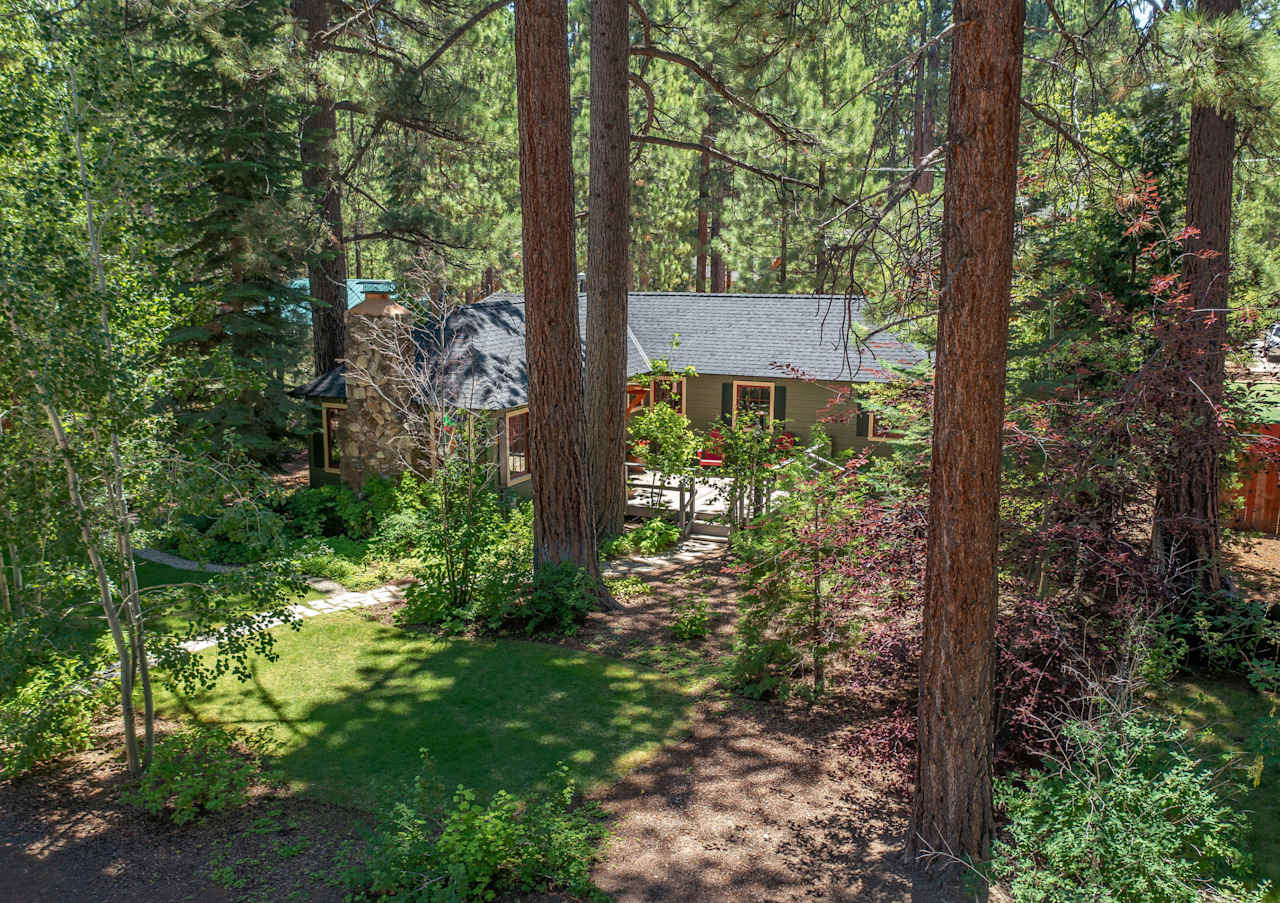 California Tahoe Real Estate Experts Live Tahoe Team