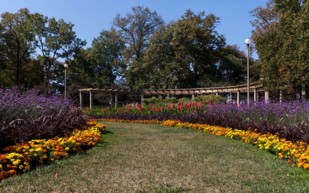 West Town Real Estate Neighborhood Guide Kim Battles