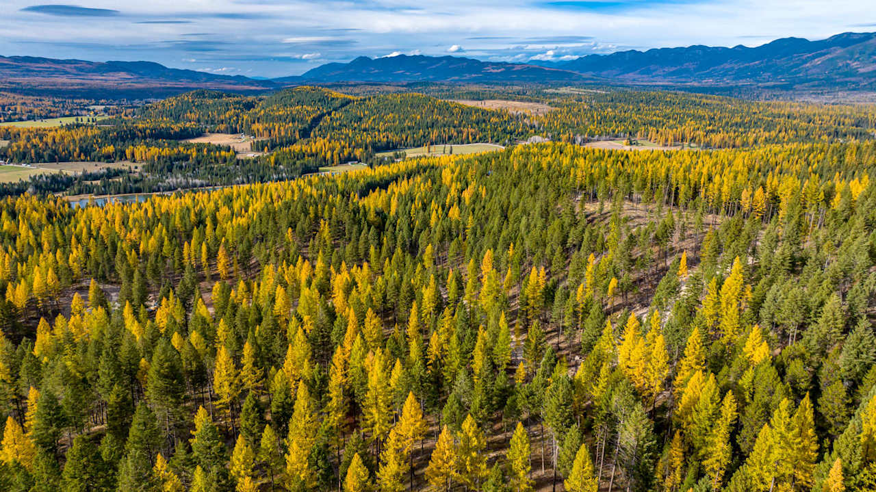 Whitefish Ridge Estates Community Guide Slezak Group Montana Real