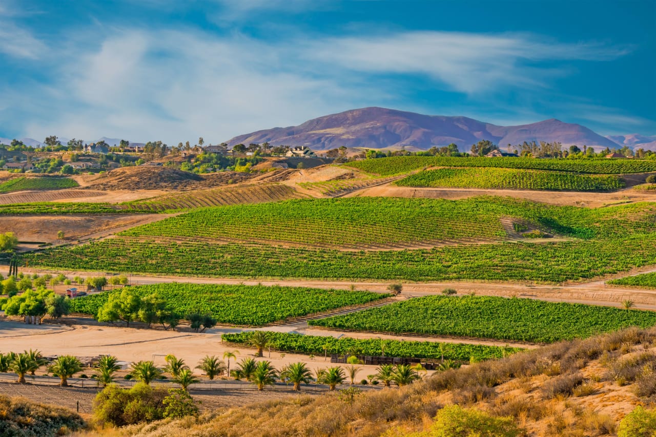 Temecula