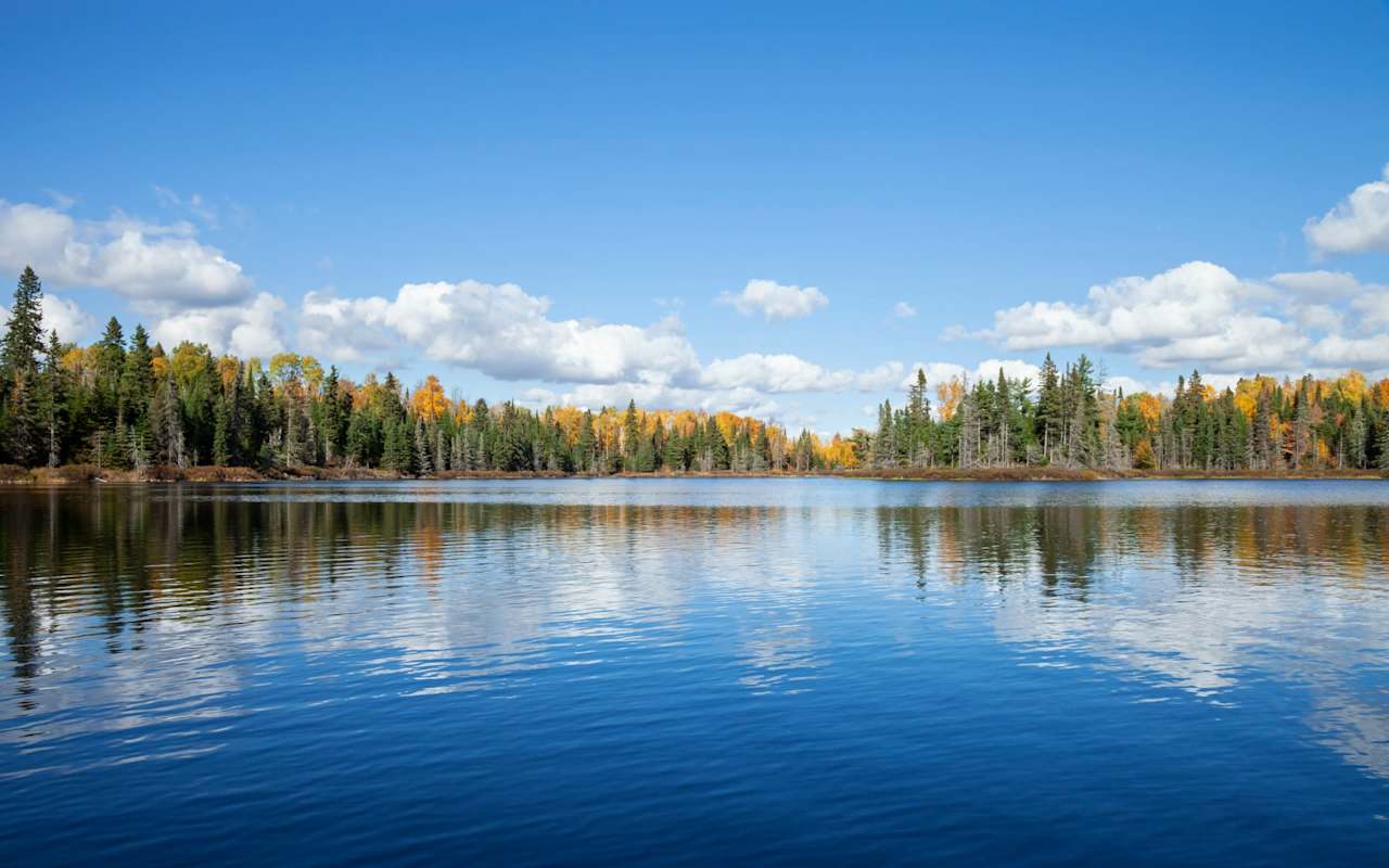 Monica Kaiser Detroit Lakes Real Estate