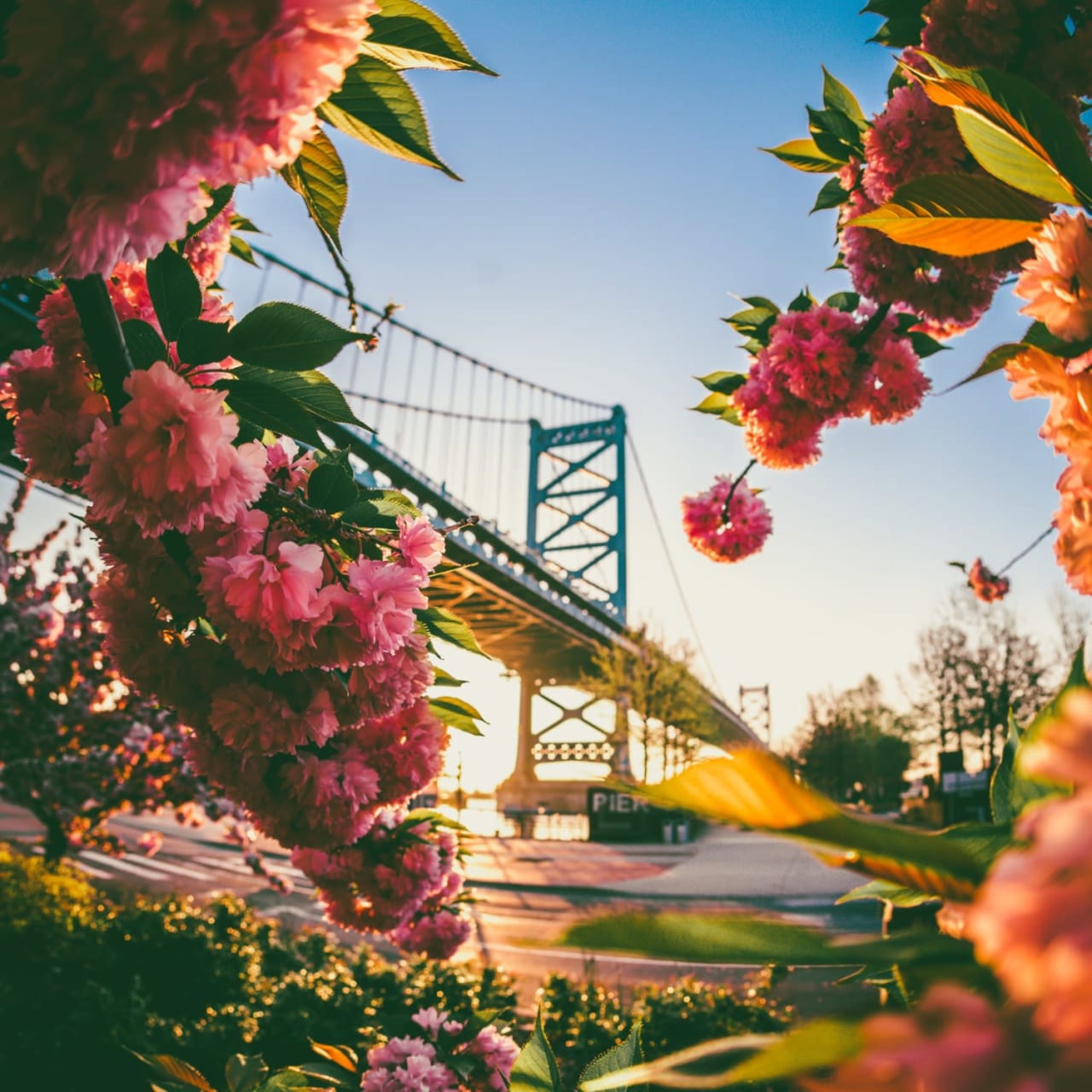 Explore Philadelphia This Spring