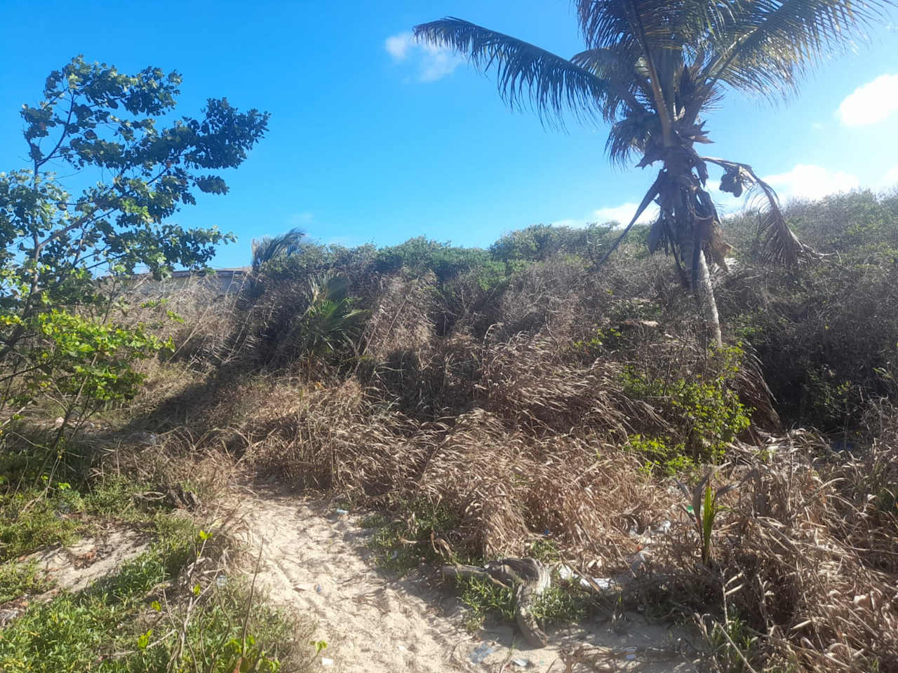 Charming 1.6 acre Caribbean Beachfront peninsular in Dangriga Town, Belize