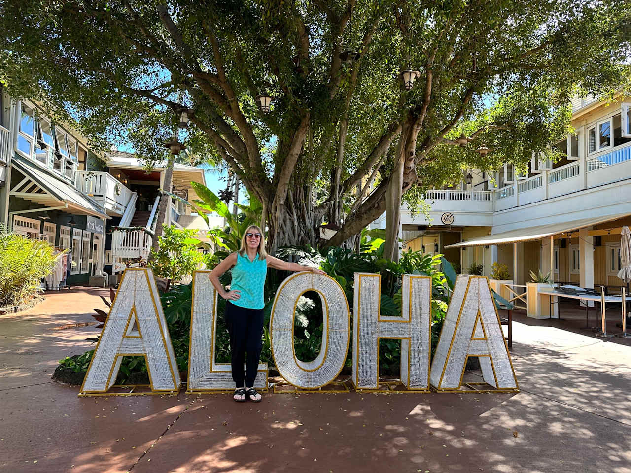 Kauai Real Estate Update, Clearing Up The Memes, Kauai Animals Win With