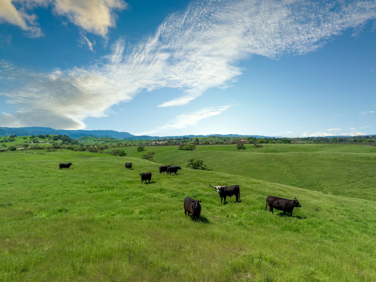 105+/- Magical Acres in Happy Canyon