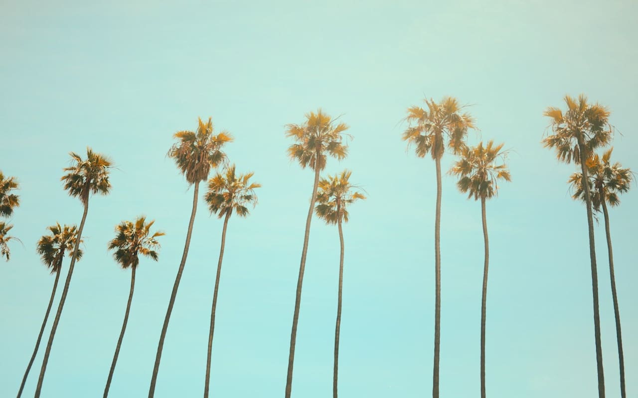 Neighborhoods Thousand Oaks Real Estate Agent Jose Navarro