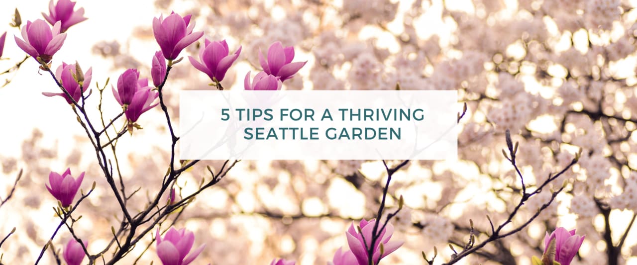 5 Tips for a Thriving Seattle Garden