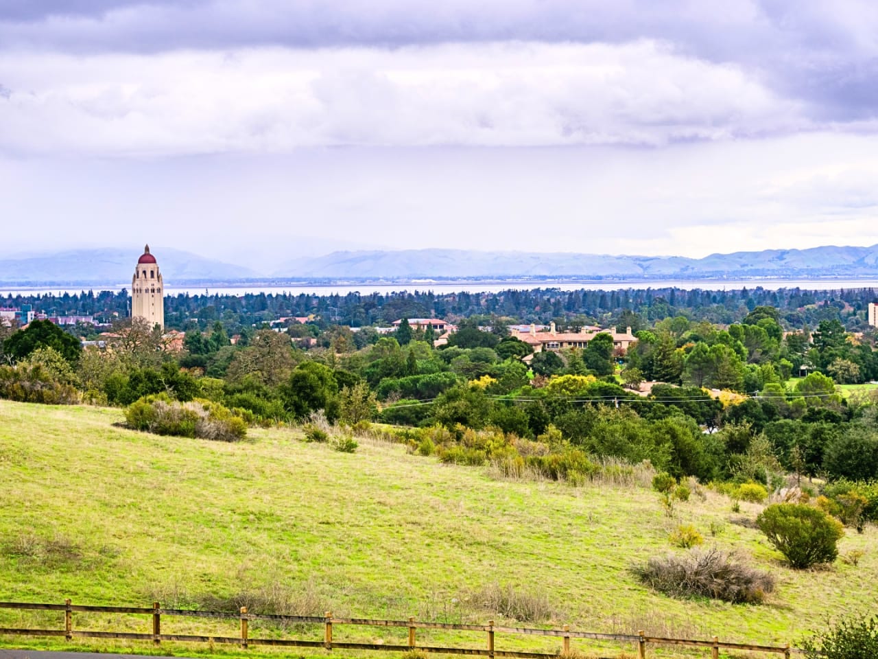 Photo of Palo Alto and Stanford from park in Palo Alto for the website of top producing Los Altos Realtor Susan Sims at The Agency Los Altos