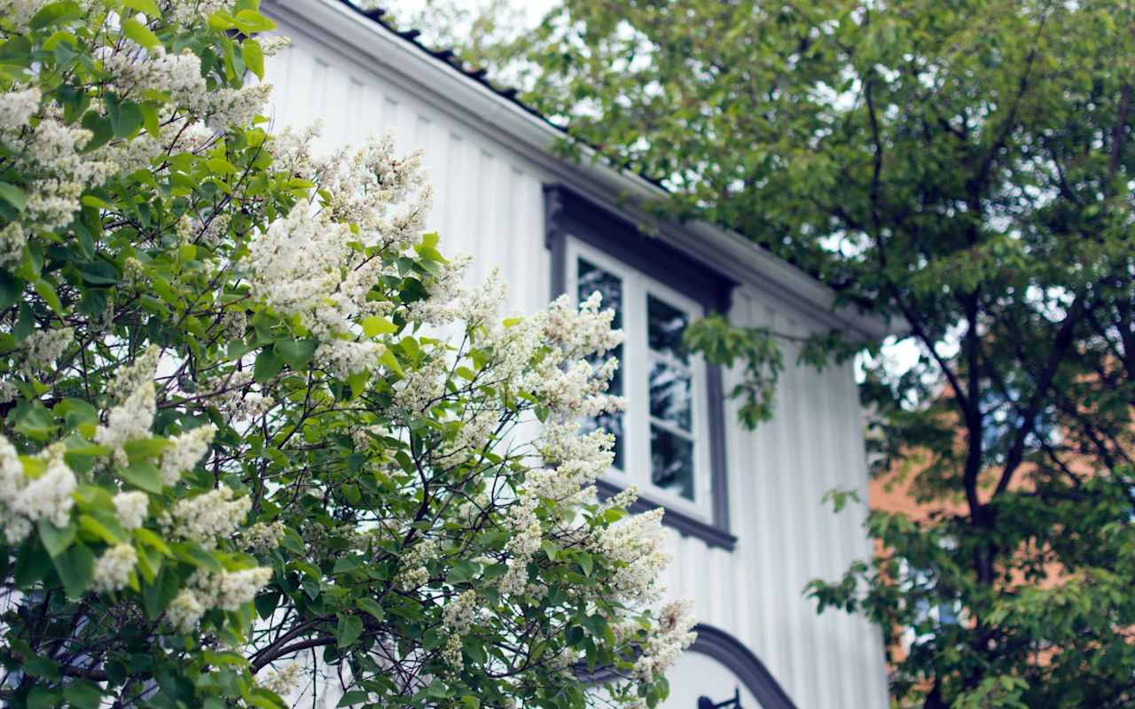 WHAT TO EXPECT WITH HOME BUYING & SELLING
