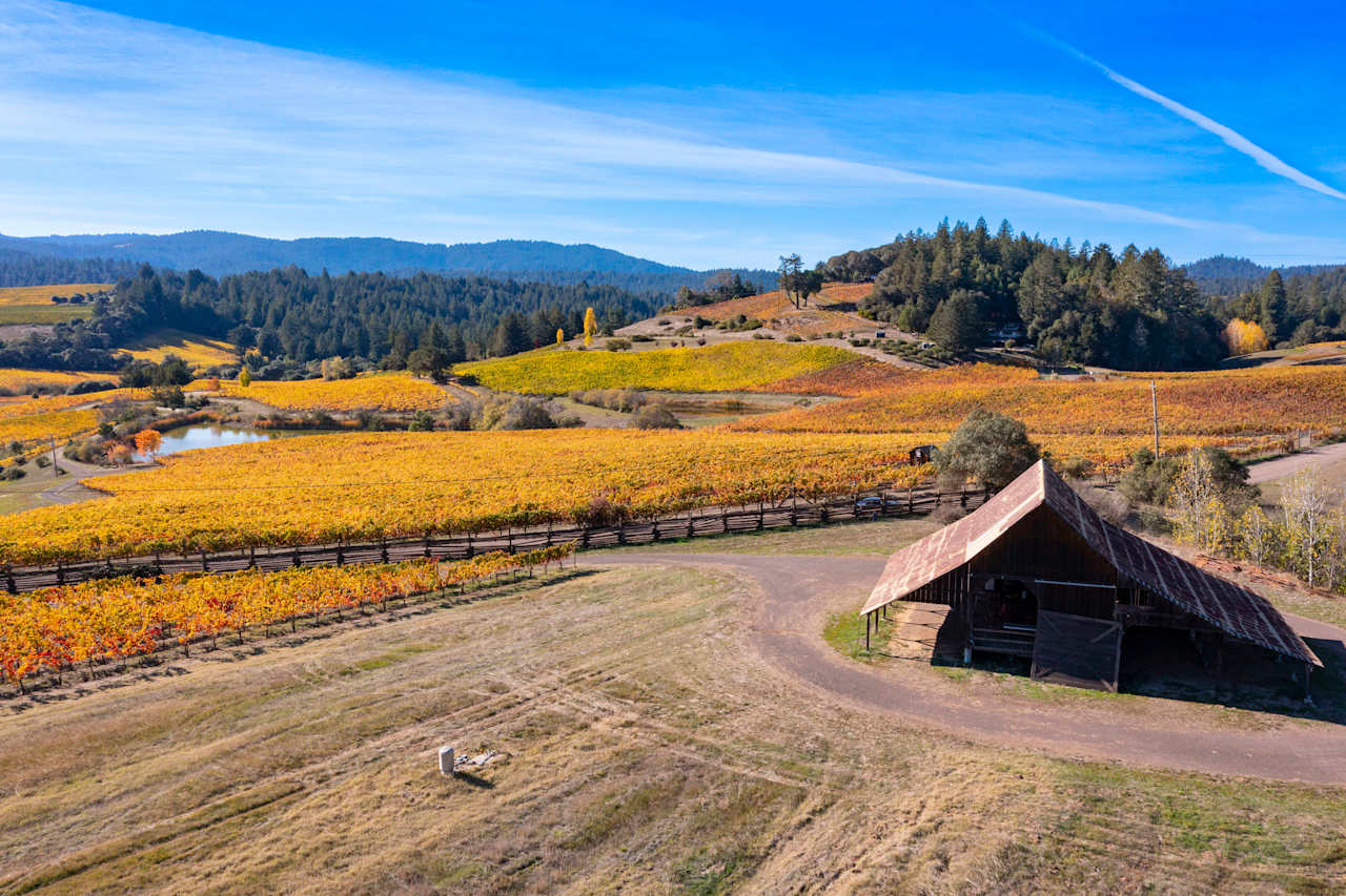 Anderson Valley, Vineyard Kevin McDonald